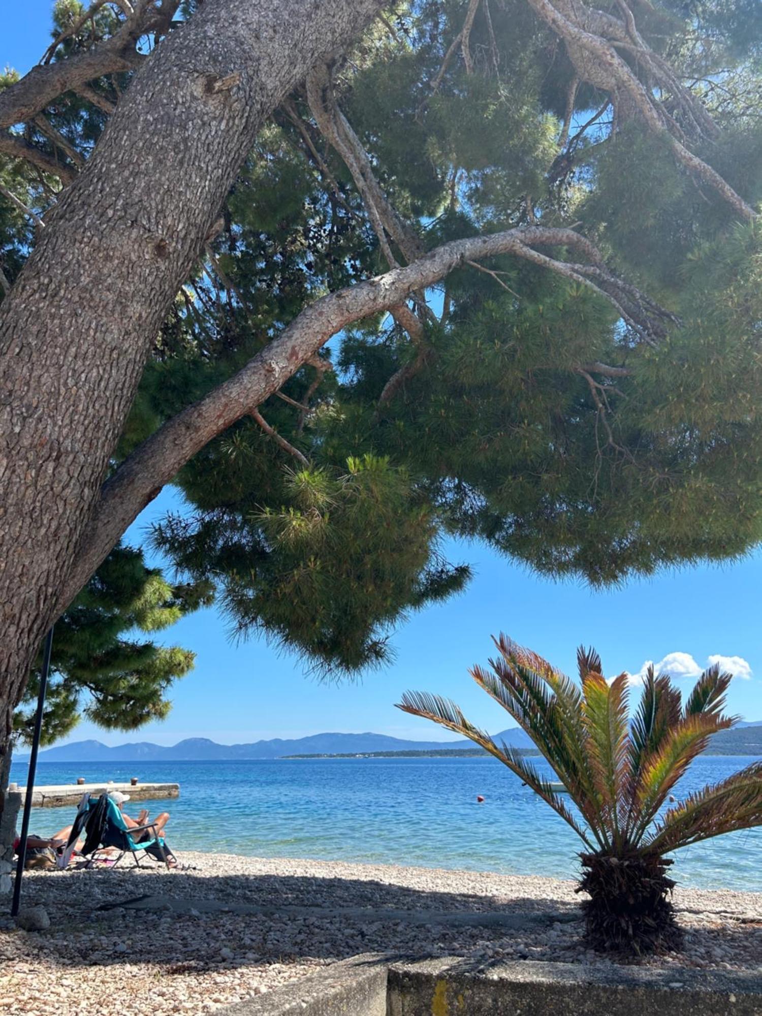 Sobe Gorana Hotell Živogošće Eksteriør bilde