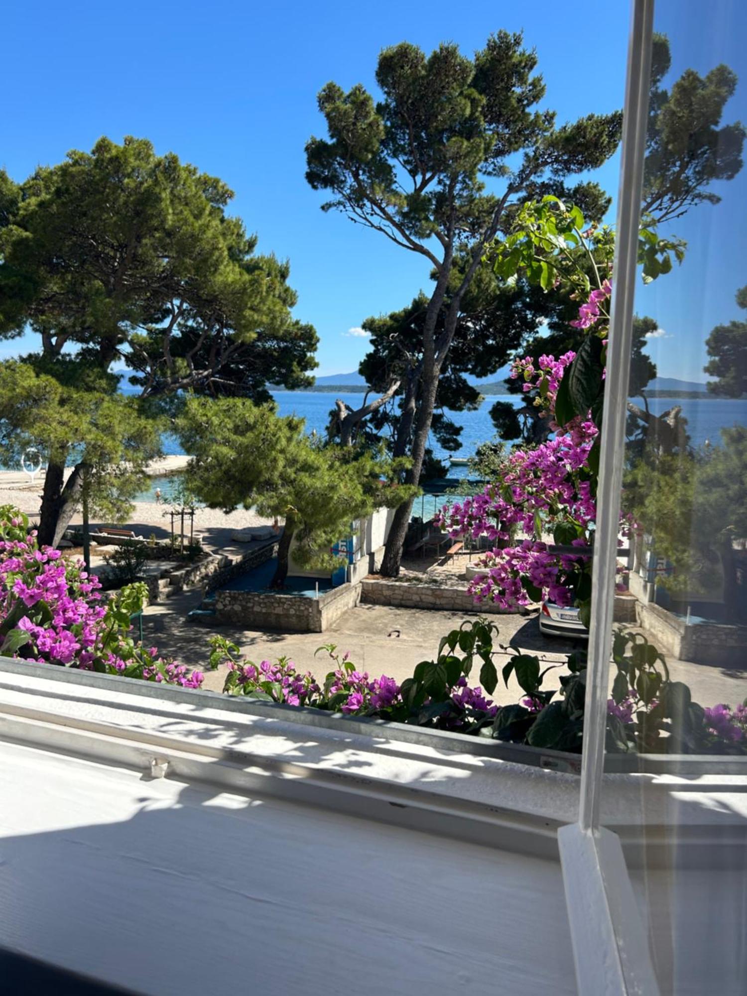 Sobe Gorana Hotell Živogošće Eksteriør bilde